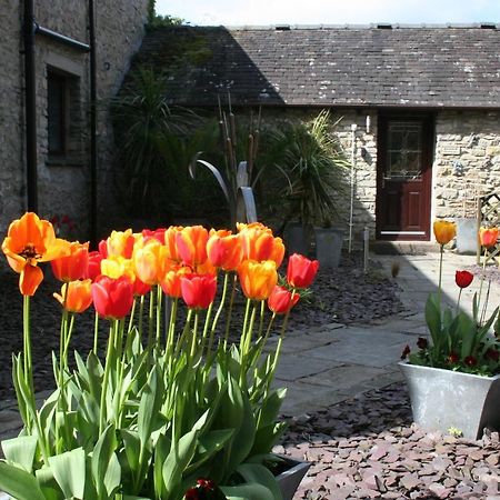 Birslack Grange Kendal Exterior foto